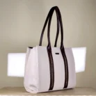 Ivory and brown structured tote bag with gold-tone chain-detail handles